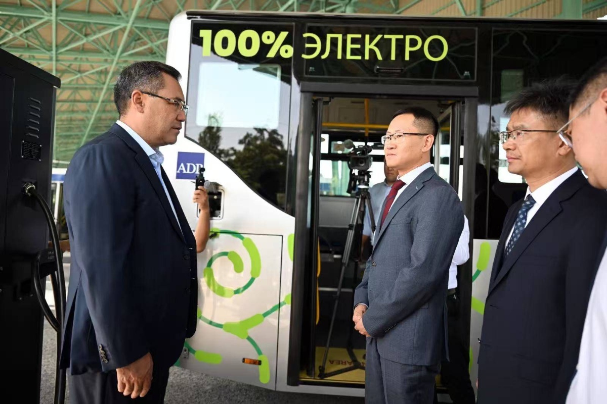 pure electric buses