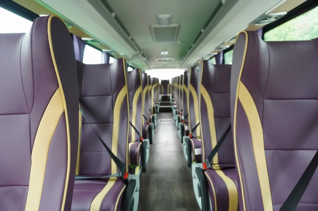 Ankai Bus